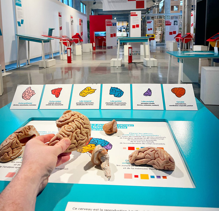 Exposition Intelligences